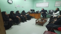 40% Treatment Success Rate Achieved at Zanjan Infertility Center with Government Subsidized Tariffs
